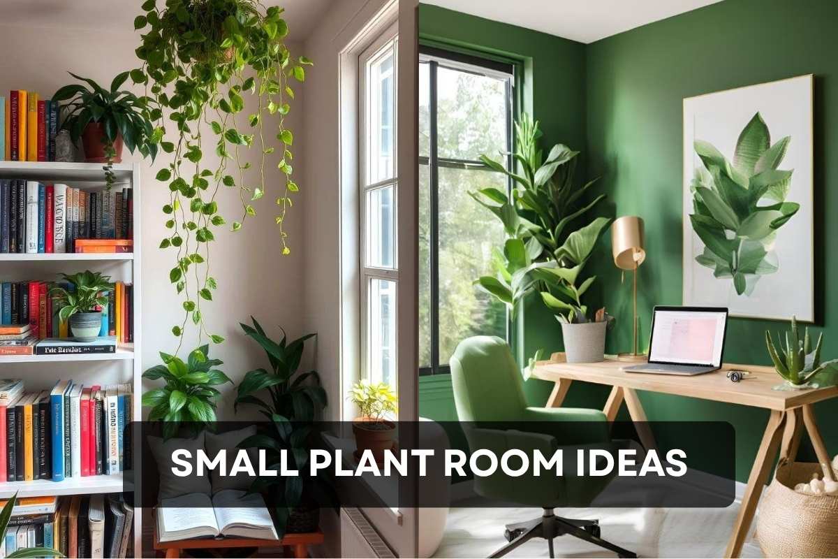 small plant room ideas